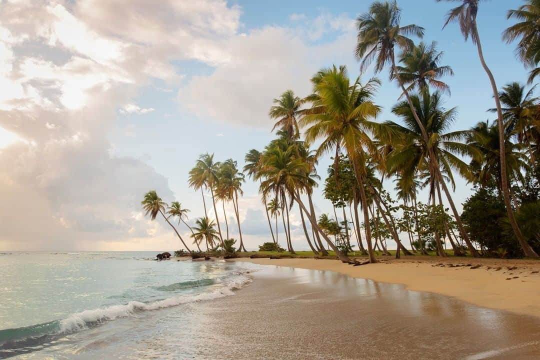 National Geographic Travelさんのインスタグラム写真 - (National Geographic TravelInstagram)「Photo by @mathiassvold | A blue ocean, white sand, a bright sun, and tropical palms. What is not to like about the Dominican Republic, the most visited destination in the Caribbean? The Dominican Republic has many postcard-like beaches. This is a view of Playa Limón.  Follow me @mathiassvold for more stories and nature images. #dominicanrepublic」1月19日 22時07分 - natgeotravel