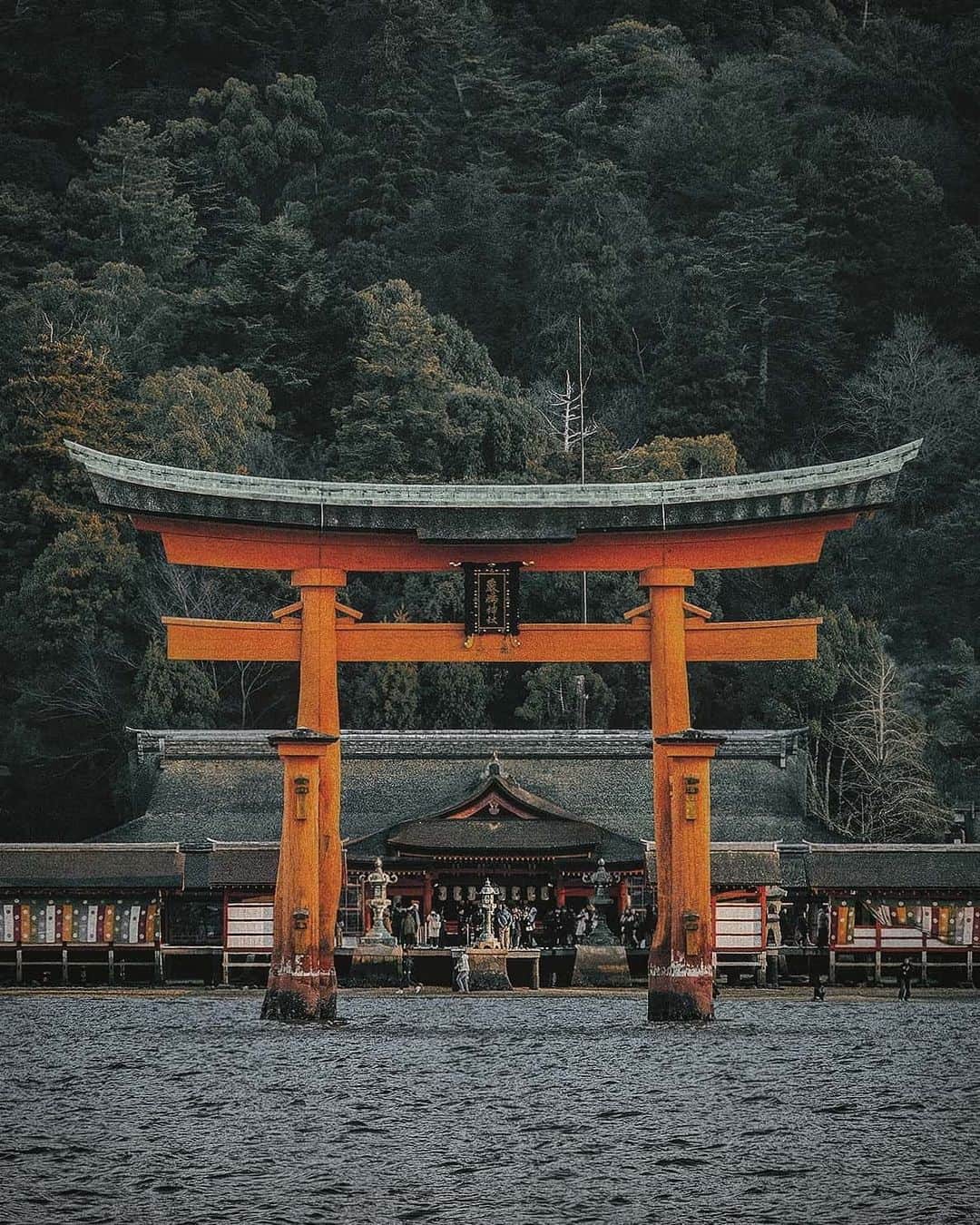 Berlin Tokyoのインスタグラム：「Dusk falls on an island of Gods where the spirit meets the human world. . . . #hellofrom  #hiroshima #japan」