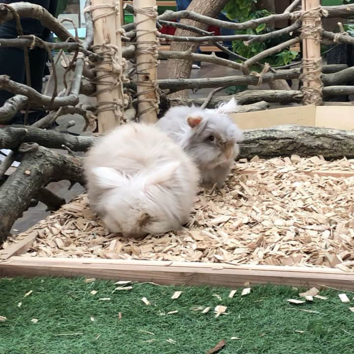 【公式】福岡ECO動物海洋専門学校のインスタグラム