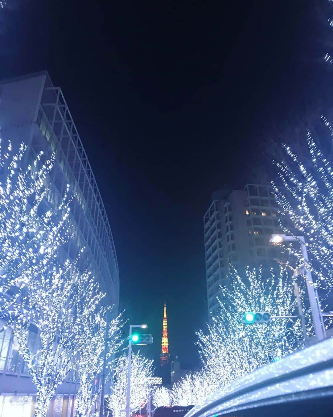 土屋太鳳さんのインスタグラム写真 - (土屋太鳳Instagram)「進路の節目を踏んばってる人 一段落して次の準備をしてる人 これからだよーという人 支えていらっしゃる人 たくさんの人にとって 大事な週末だったのかなぁ と思います。 パワーを使った時間のあとは 少しでもゆっくりしてくださいね🙏✨ . 私はいったん東京に戻ってます！ この写真は今日ではないけれど 大好きな東京タワーの見える景色を。 未来も青信号✨のイメージで😊 どのかたも、よい夜を🌟✨」1月19日 22時23分 - taotsuchiya_official