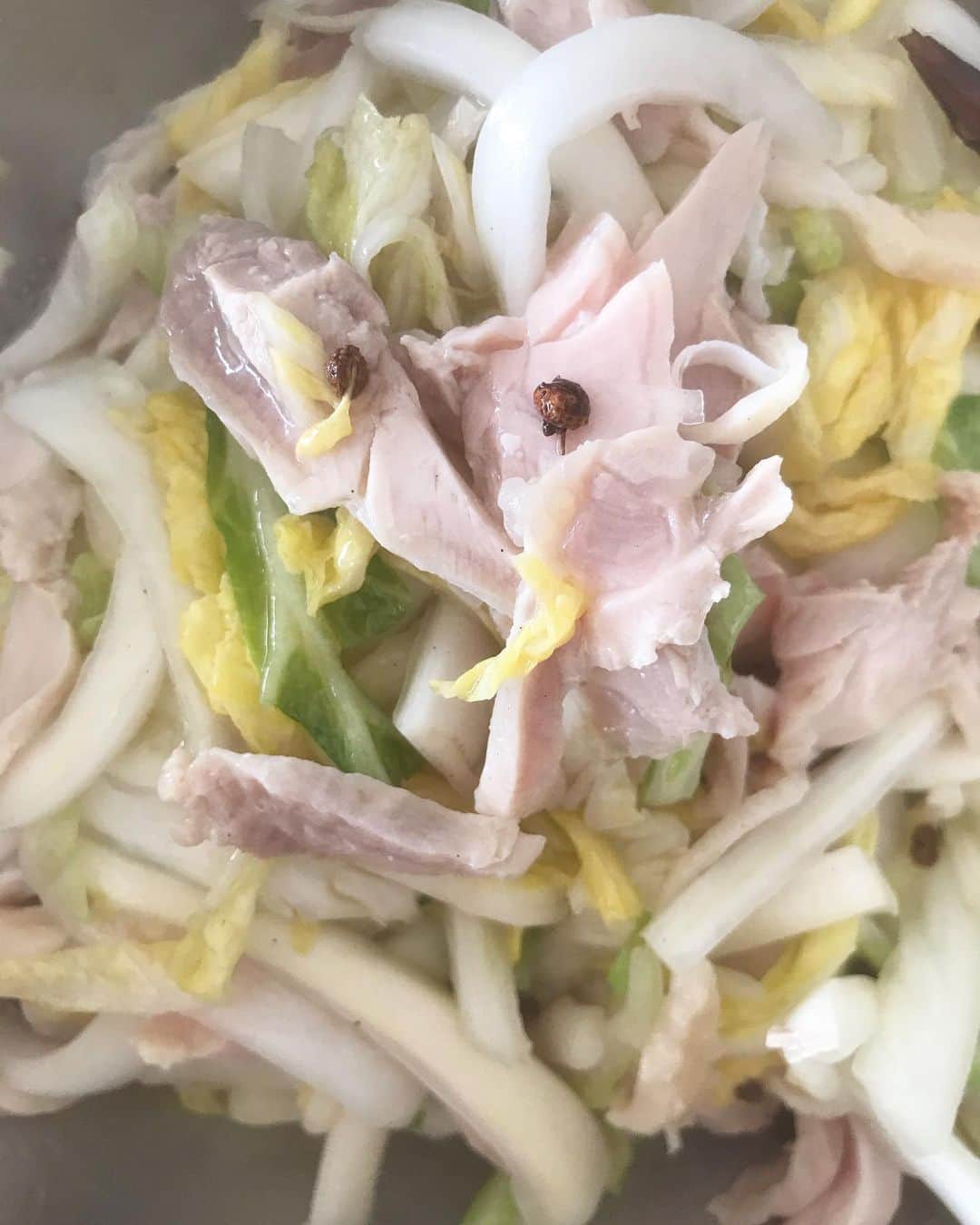 渡辺有子のインスタグラム：「2.3月料理教室のご案内、お申込み受付を1/21(火)に開始いたします。520fft.tumblrにて告知を開始した際にこちらInstagramでもお知らせします。 テーマや日程をご確認の上、お申込お願いいたします。」