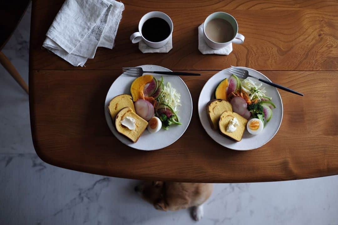 maggydaisyのインスタグラム：「_  モアにはゆで卵ね🥚  #maggydaisymore20200119 #corgi #コーギー #里親 #馬酔木誠 #アセビマコト #breakfast #朝ごはん」