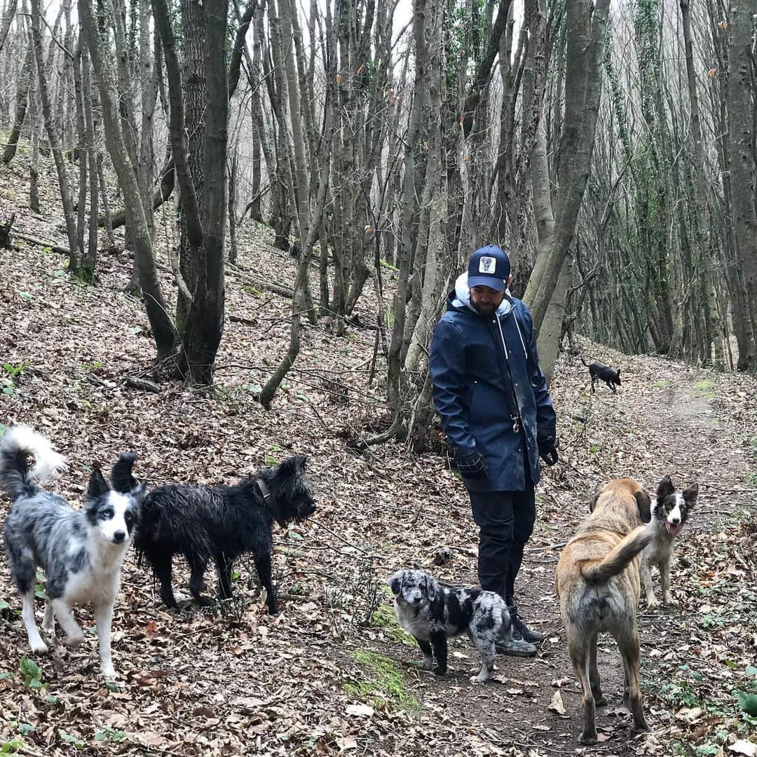 muratdalkilicのインスタグラム：「Tayfayı topladık 🐕 @ersenakbas」