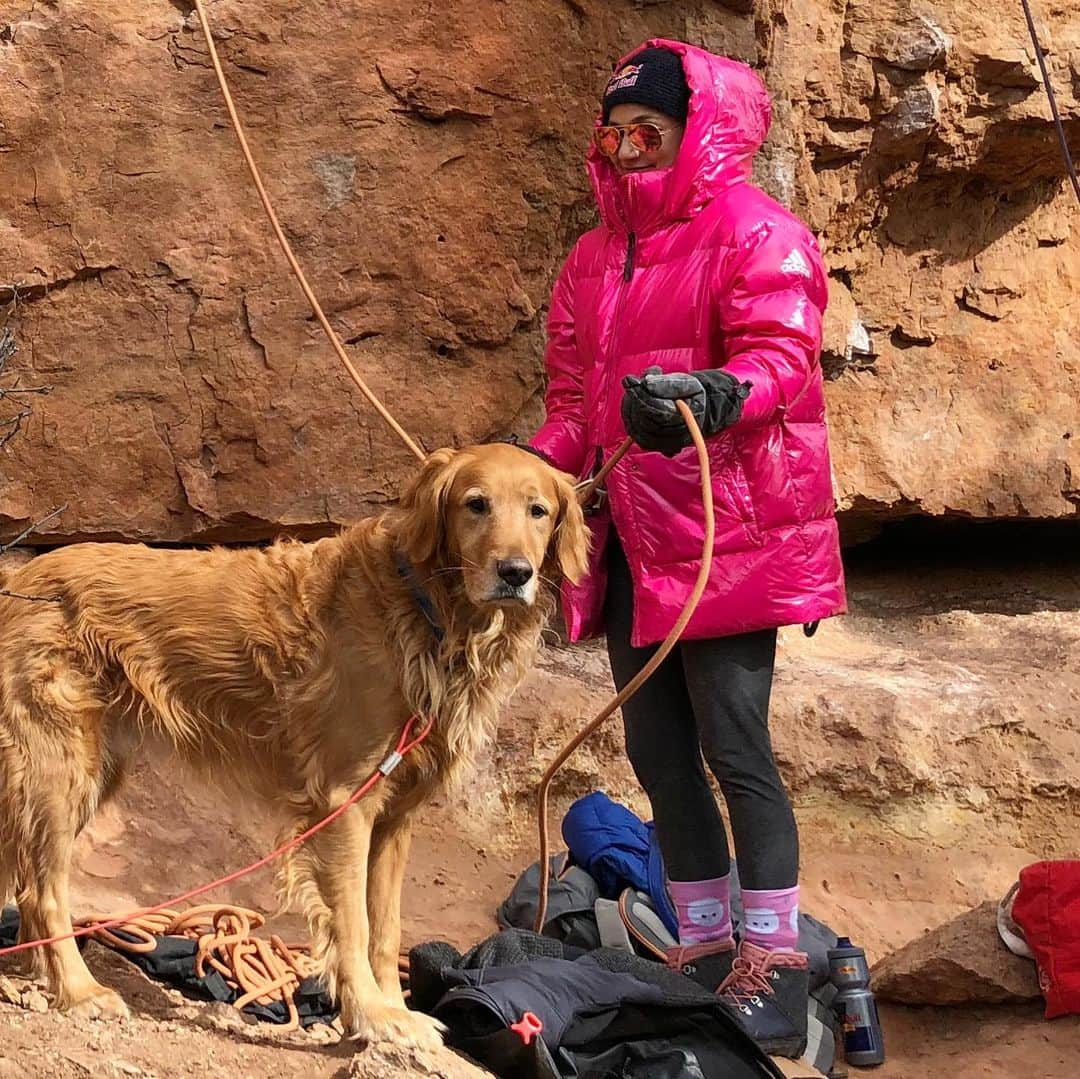 サッシャ・ディギーリアンさんのインスタグラム写真 - (サッシャ・ディギーリアンInstagram)「Instagram versus reality of me climbing outside in January...」1月20日 0時36分 - sashadigiulian