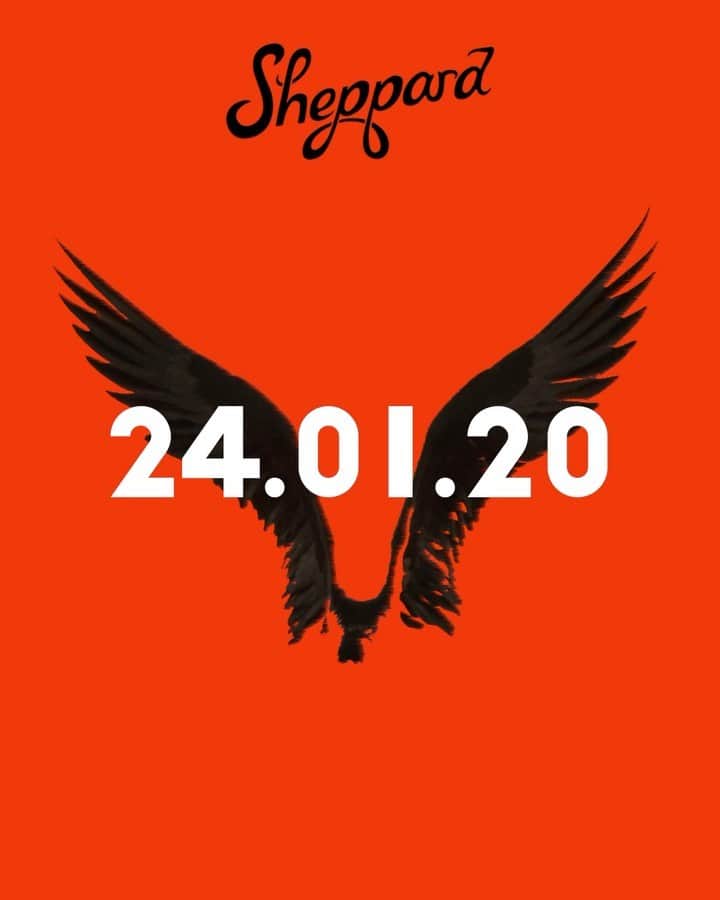 シェパードのインスタグラム：「Our new single, Phoenix is out 24.1.20 and will be available worldwide. 100% of proceeds go towards bushfire relief efforts. Link in bio」