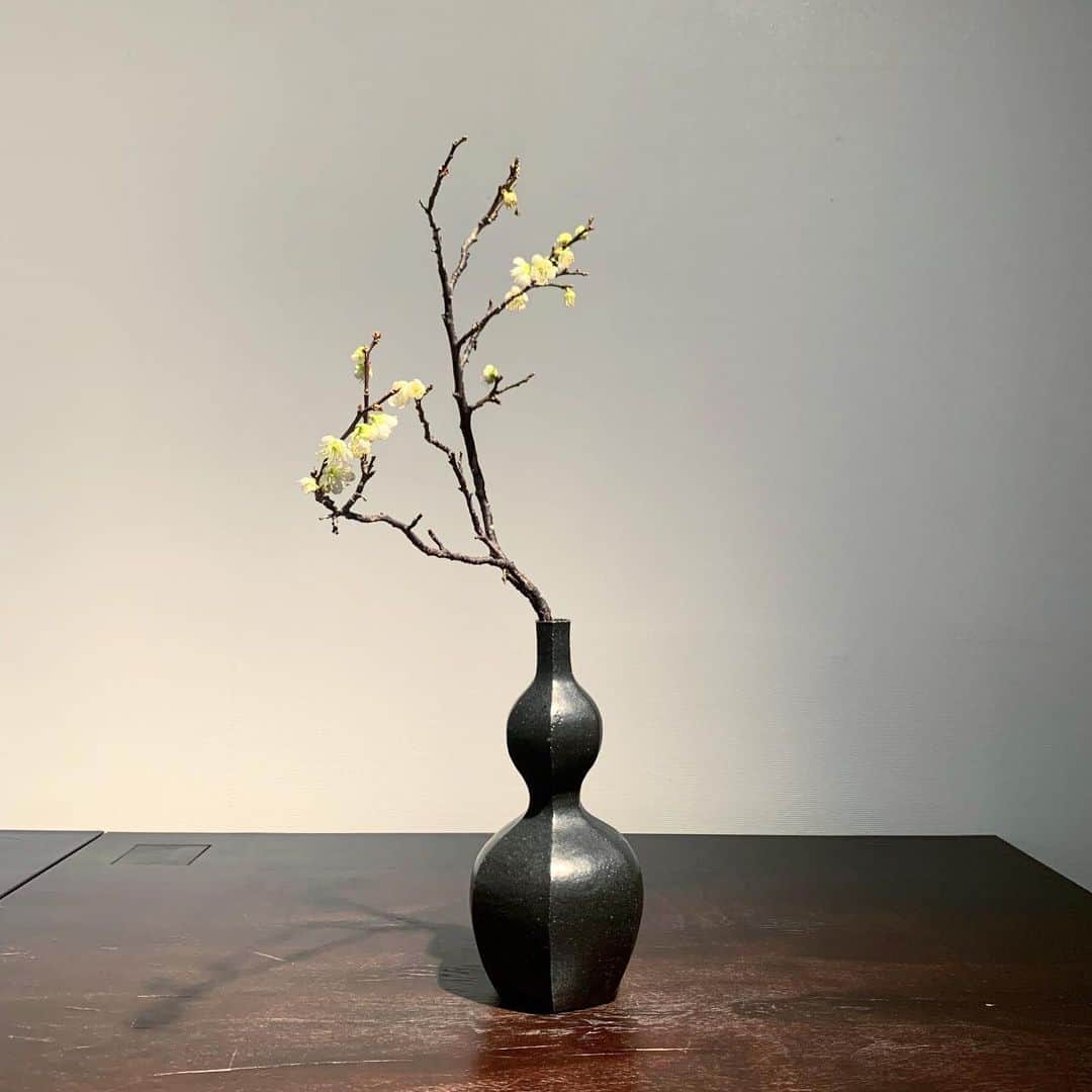 行方 久子 Hisako Namekataのグルメインスタ