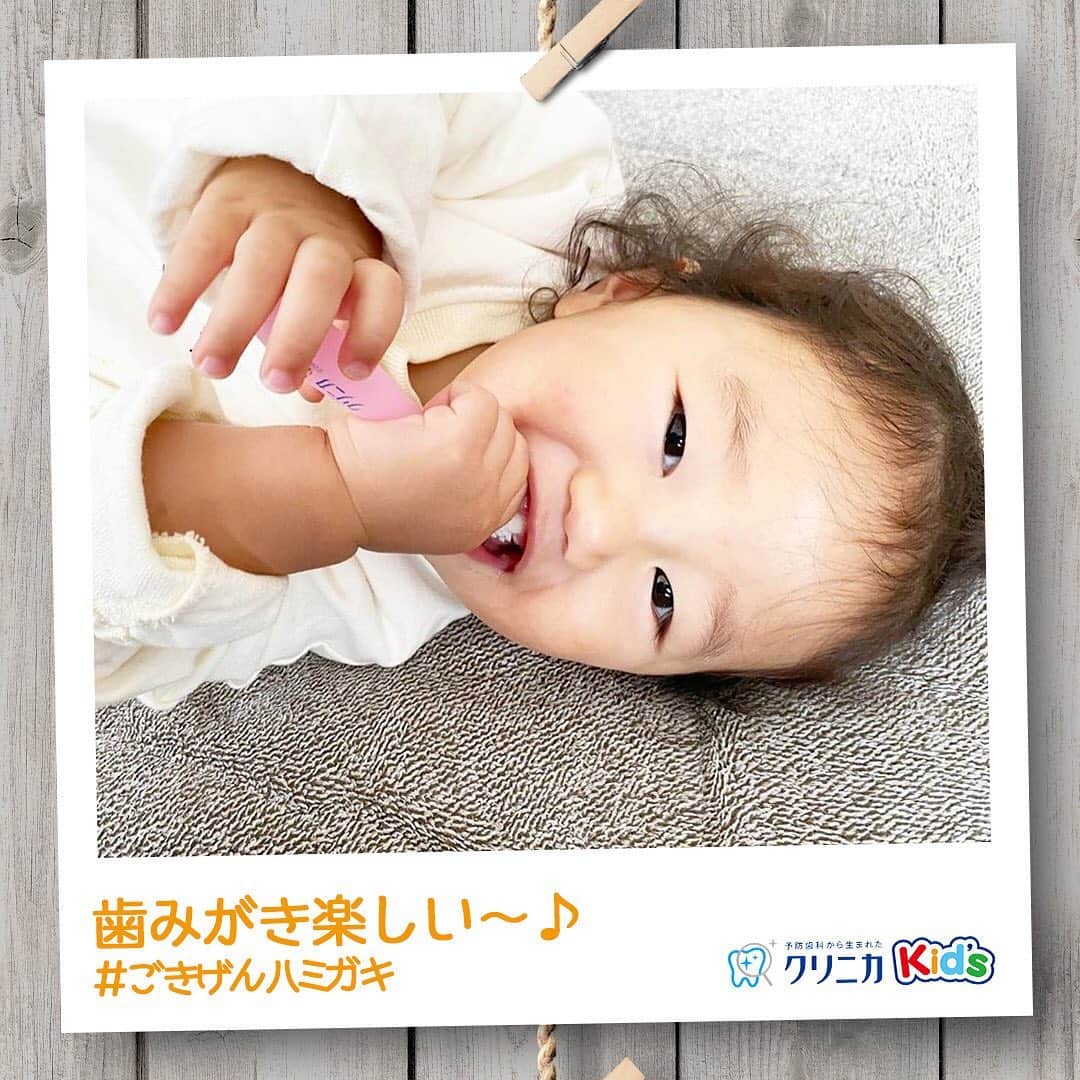 クリニカではじめよう予防歯科さんのインスタグラム写真 - (クリニカではじめよう予防歯科Instagram)「今日の#ごきげんハミガキ♪﻿ ﻿ 皆さんこんにちは♪﻿ 今日は@___m.mom___ さんの#ごきげんハミガキ です！﻿ ﻿ 歯みがきが大好きな1歳の娘ちゃん🧒🏻❤️﻿ ﻿ 娘ちゃんにとって歯みがきは楽しい時間。ニコニコ笑顔でハブラシを握っていますね😆﻿ ﻿ 特にお気に入りなのが、仕上げみがき✨﻿ ママが仕上げみがきをすると、声を出して笑っちゃうくらい喜んでやるそう☺﻿ ﻿ これからもママと楽しく歯みがきを続けてね❤️﻿ ﻿ ﻿ ----------------------﻿ #ごきげんハミガキ の投稿を募集中！﻿ クリニカKid’s公式アカウントでご紹介させていただきます♪﻿ ----------------------﻿ ﻿ #クリニカ #クリニカキッズ #歯磨き #歯みがき #はみがき #ハミガキ #歯みがきタイム #歯磨き中 ＃歯みがき習慣 #むし歯予防 #虫歯予防 #育児 #育児日記 #育児記録 #子育て #子育て記録 #女の子ママ #子供の成長 #成長記録 #成長 #ママライフ #親バカ部 #親バカ日記 #子供のいる暮らし＃ママカメラ #仕上げみがき #仕上げはお母さん #ママの毎日」1月20日 14時21分 - lion_clinica