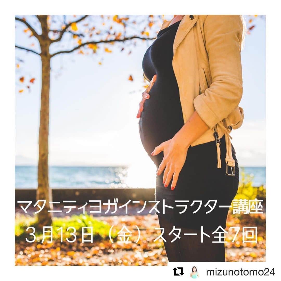 YMCメディカルトレーナーズスクール公式さんのインスタグラム写真 - (YMCメディカルトレーナーズスクール公式Instagram)「YMC名古屋校、マタニティヨガのご案内です‼️🙋‍♀️ ・・・ 【妊娠中もヨガを続けたい🤰】 ママとベビーが一つになって過ごす 大切な１０ヶ月♡ . 体の中で成長していく 赤ちゃんの胎動を感じながら ヨガをする . 自分と胎児への愛を育む時間 そんな《マタニティヨガ》クラスを 提供していきませんか？ . . 《マタニティヨガインストラクター講座》 講座日程：3月13日（金）スタート 3/13,3/27,4/10,4/17,5/15,5/29,6/12 すべて金曜日 . 担当講師：水野とも @mizunotomo24 . . ※時間帯や受講料など詳細は 『YMC名古屋校まで💁‍♀️』 @ymcnagoya . . 本講座では、産前と産後のクラス作りについて学びます。 妊娠中にクラスに参加する場合 産後も子連れでクラスに参加する場合 ポーズをどう伝えたら良いか ヨガを通して産前と産後の期間を より快適に過ごしていくための クラス作りを身体の状態を学びながら 一緒に考えます🍀 . . ☑︎より多くの方へヨガを伝えたい ☑︎活動の幅を広げたい ☑︎自分のために知っておきたい など… . 気になる方は気軽にお問合せください。 . . 〈お申込み・お問い合わせ〉 nagoya@ymc-rise.co.jp または052-581-6477へご連絡ください . ※YMC卒在生の方には早期申込み価格をご案内🍀 . ※申込み締切は、1月30日まで‼️ . . 皆様にお会いできることを楽しみにしております☺️ . . . #YMCメディカルトレーナーズスクール #YMCヨガスタジオ #yoga #ヨガ #ヨガ資格 #ヨガ講師 #ヨガインストラクター #全米ヨガアライアンス #RYT200 #RYT500 #ピラティス #整体 #アロマオイル #アロマ #脳育ベビーマッサージ #産後ケアトレーニング #美容 #健康 #ihta国際ホリスティックセラピー協会 #ワークショップ #followme #ヨガ大好き #ピラティス大好き #マタニティヨガ #妊娠中の体重管理 #ママとベビーのヨガ」1月20日 14時17分 - ymcmedical