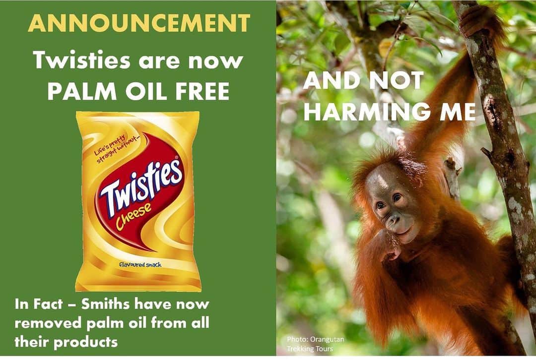 OFI Australiaさんのインスタグラム写真 - (OFI AustraliaInstagram)「Big news!!! After using palm oil for many years, Smiths Chips who manufacture a wide range of brands, have now removed palm oil from ALL of their products.  Congratulations Smiths and thank you.  The changes should now be reflected in the ingredients section on all new packaging.  If anyone happens to still see vegetable oil listed, the stock would be prior to the change.  _____________________________________ 🐒 OFIA Founder: Kobe Steele 💌 kobe@ofiaustralia.com | OFIA Patron and Ambassador: @drbirute @orangutanfoundationintl |  www.orangutanfoundation.org.au 🐒  #orangutan #orphan #rescue #rehabilitate #release #BornToBeWild #Borneo #Indonesia #CampLeakey #orangutans #savetheorangutans #sayNOtopalmoil #palmoil #deforestation #destruction #rainforest #instagood #photooftheday #environment #nature #instanature #endangeredspecies #criticallyendangered #wildlife」1月20日 6時14分 - ofi_australia
