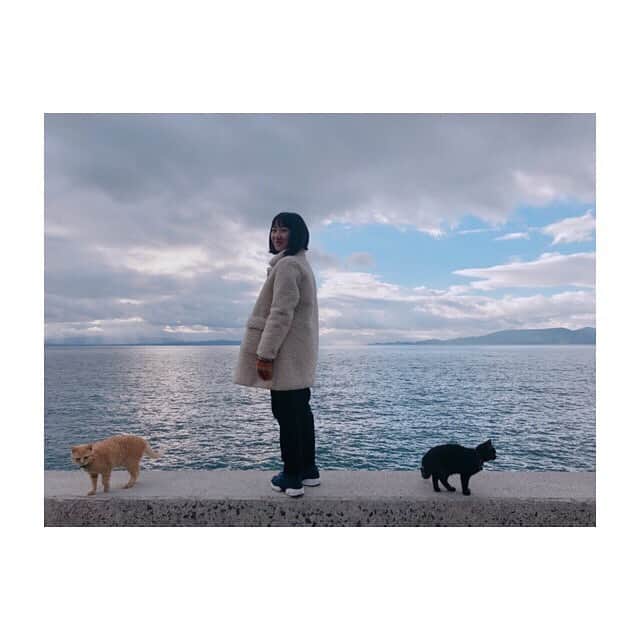 田牧そらさんのインスタグラム写真 - (田牧そらInstagram)「・ 上天草市湯島に 行ってきました！！ ・ 大好きな、湯島の 猫とともに🐈 海も綺麗でしょー 猫も可愛いでしょー 最高すぎる！！！ ・ そして、 フォロワー1万人😆😆 ありがとうございます。 ・ ・ #上天草ムービーフェスティバル #上天草市 #湯島 #田牧そら」1月20日 7時55分 - sora_tamaki_official