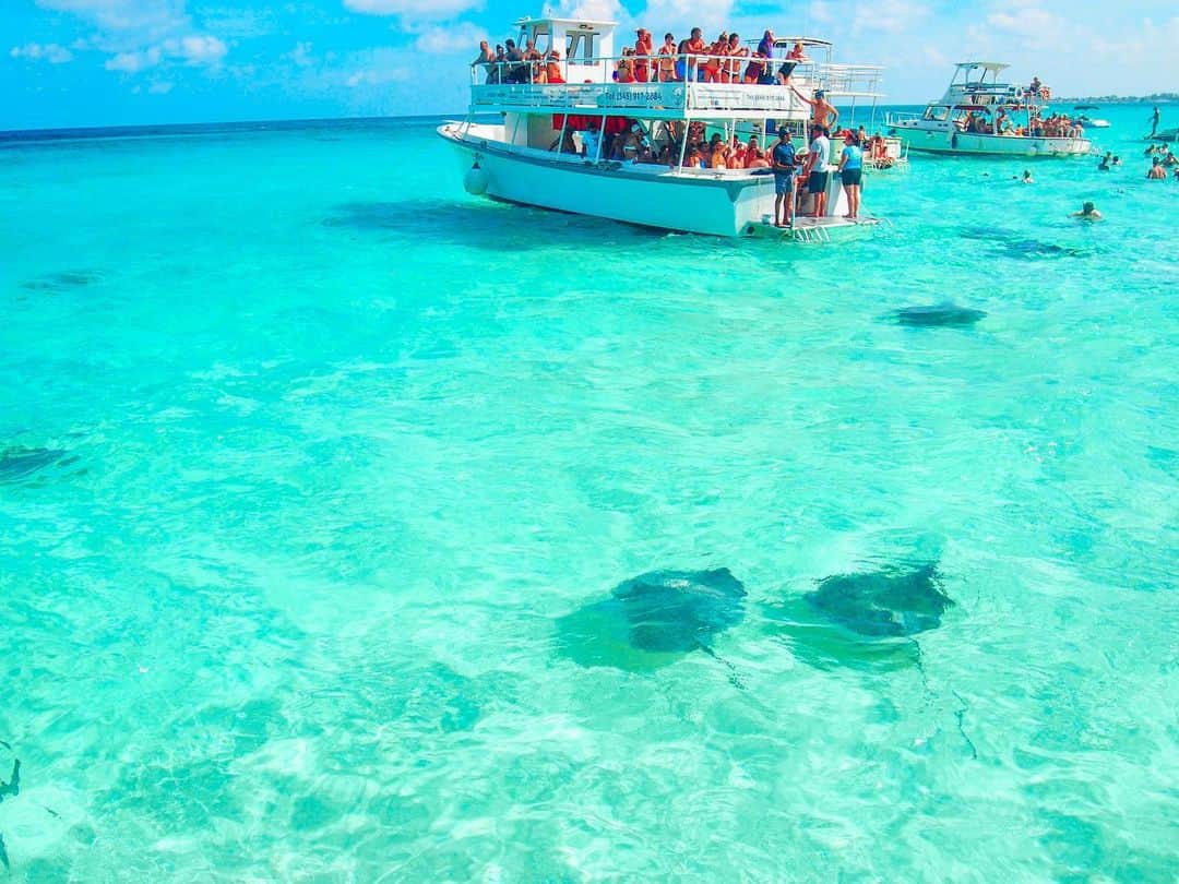 西野沙瑛さんのインスタグラム写真 - (西野沙瑛Instagram)「- - おはようございます🌞❤︎ 写真は、3年前行ったケイマン諸島⛴ エイと泳いだ思い出の場所☺️ 次はサメと泳ぎたい！！❤️ -」1月20日 8時16分 - sae_golf