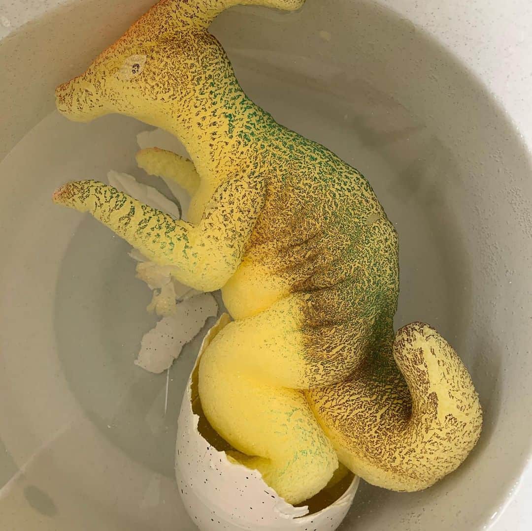 東野幸治さんのインスタグラム写真 - (東野幸治Instagram)「やっと恐竜の赤ちゃんが産まれました！本当によかった！」1月20日 8時50分 - higashinodesu