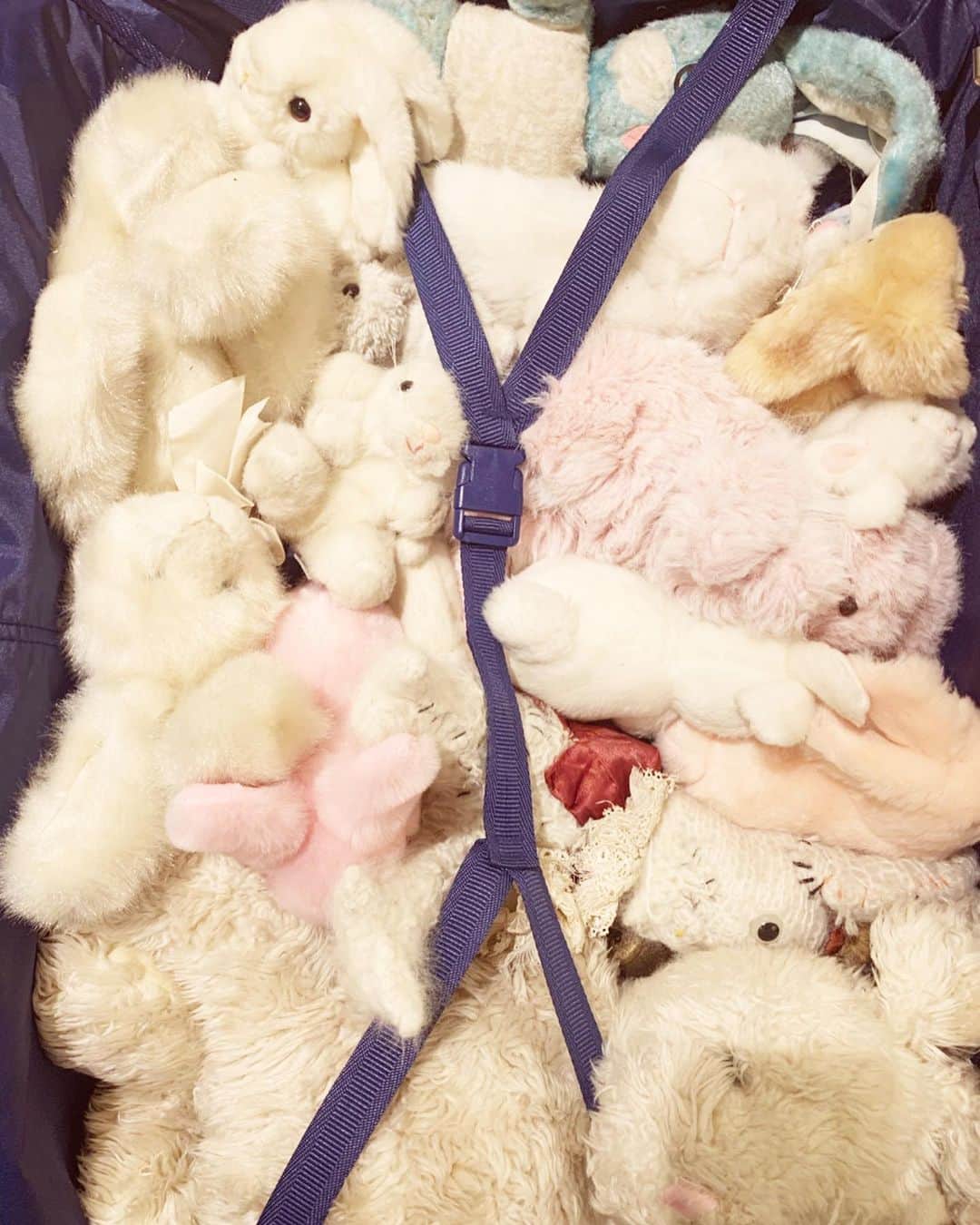 東佳苗さんのインスタグラム写真 - (東佳苗Instagram)「ここ数カ月の各地うさぎまとめ🐰🐇🐰🐇🐰 ウサギモチーフ収集癖なのでウサギ情報あったら教えてください…🐇🐇🐇🤍🤍🤍 #rabbit」1月20日 8時53分 - usagi_kanae