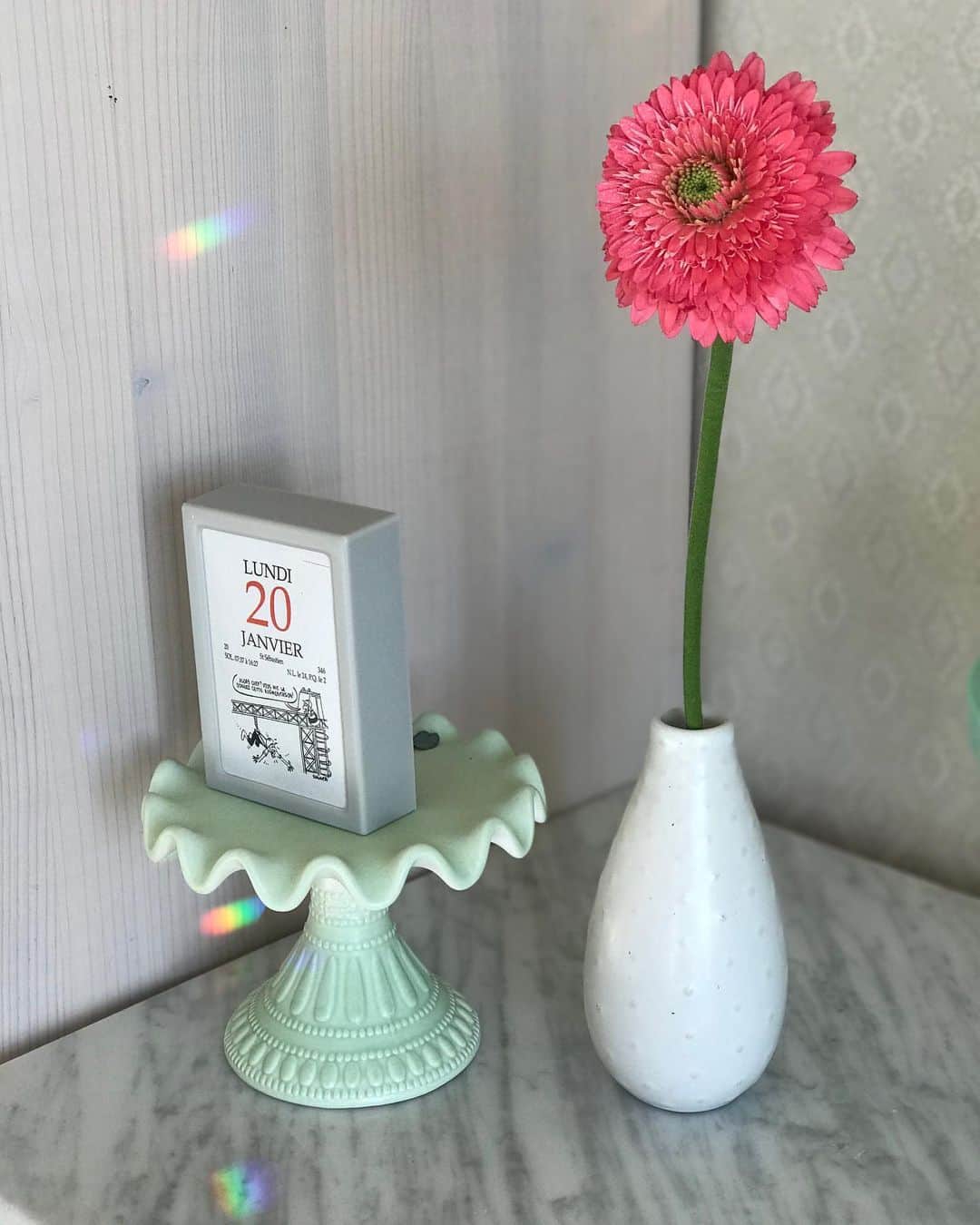 福田淳子さんのインスタグラム写真 - (福田淳子Instagram)「今週のお花はピンクのガーベラ。普段はガーベラもこのピンクは選ばない。でも、お花屋さんに行った時になぜかこのお花に惹かれたのです。お部屋が明るくなっていい感じ。  冬の時期アトリエは朝の光がとてもきれいなのです。窓際にレインボーメーカーをいくつか下げてあるので、レースのカーテンを開けると壁に虹ができてゆらゆらします。テーブルに座ってお茶を飲みながら、1日の予定を考える朝のこの時間がとても好きです。  今週もすてきな1週間になりますように🌈  #今週のお花 #weekflowers  #ガーベラ #gerbera  #rainbow #リアルタイムうれしい…」1月20日 9時01分 - junjunfukuda