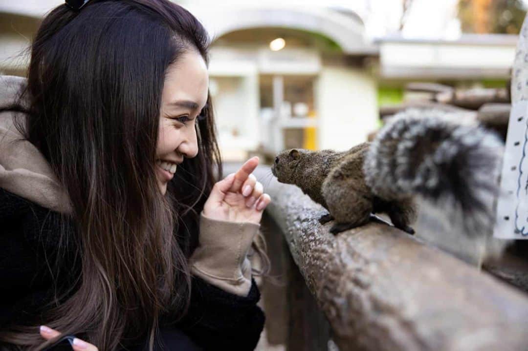向山志穂さんのインスタグラム写真 - (向山志穂Instagram)「可愛い、、、😫💓 身体に登ってきてくれたりもする🐿️ 人懐っこい性格👀  #りす #りす園 #squirrel」1月20日 10時10分 - shihoo9o6