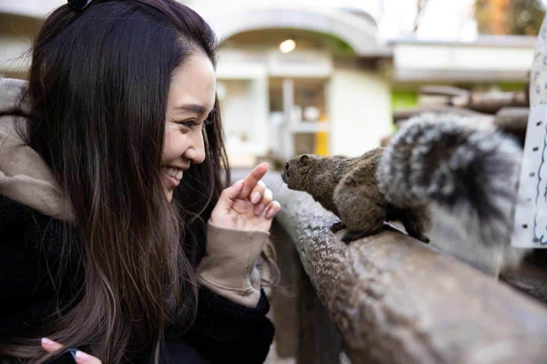 向山志穂のインスタグラム：「可愛い、、、😫💓 身体に登ってきてくれたりもする🐿️ 人懐っこい性格👀  #りす #りす園 #squirrel」
