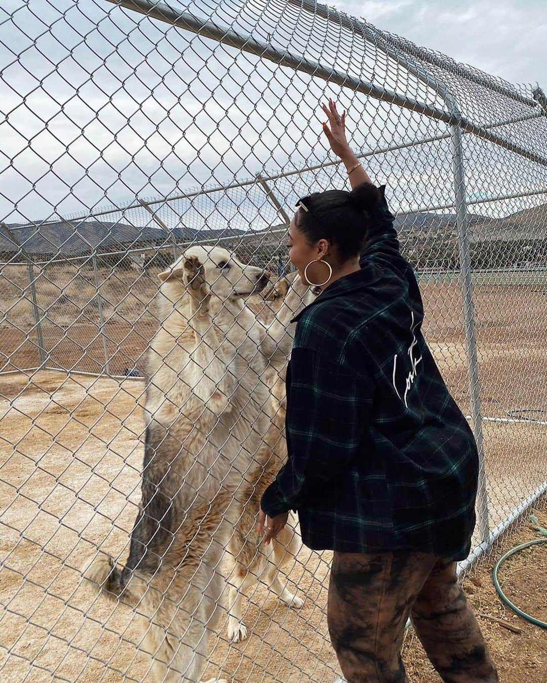 ジョーディン・ウッズさんのインスタグラム写真 - (ジョーディン・ウッズInstagram)「got to play with some wolves today 😍」1月20日 10時46分 - jordynwoods