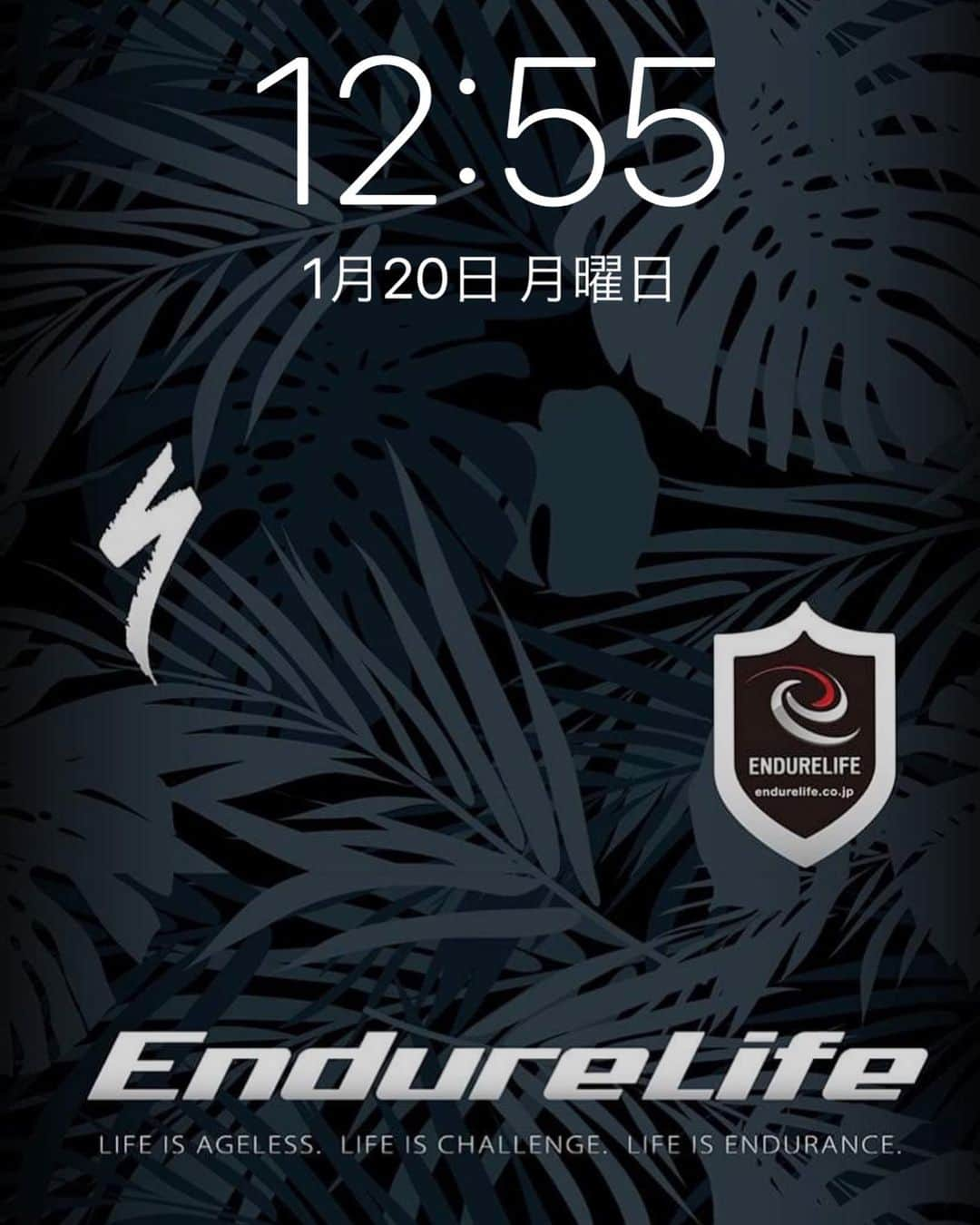 竹谷賢二さんのインスタグラム写真 - (竹谷賢二Instagram)「#konablack #wallpaper #myiphone #screenshot #endurelife」1月20日 12時57分 - tktakeyakenji