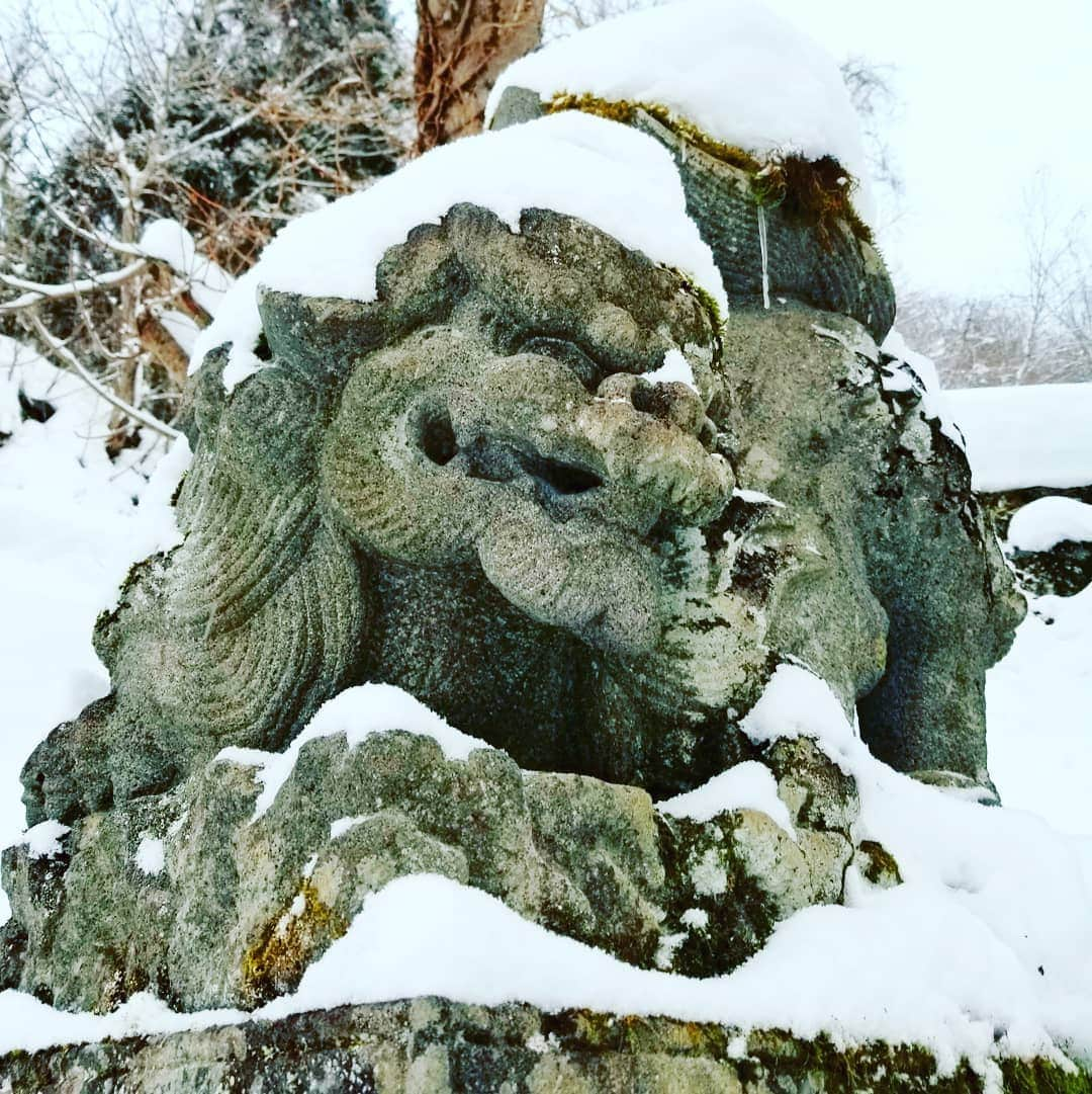 小平奈緒さんのインスタグラム写真 - (小平奈緒Instagram)「ふと思い立ち、戸隠神社へ行ってきました⛩️ 最近お散歩が趣味になりつつあり、朝の静かな時間を満喫しております🚶‍♀️✨ 平昌五輪シーズン以来の戸隠参拝🙏✨ 雪をぎゅっと踏みしめながら歩くこの感覚が堪らなく好きで、朝イチの清らかな空気を全身でチャージしてきました🔋 途中でグゥゥと木が鳴いていたり、帰り際にブウォーっと突風が吹いたり、狛犬さんが雪のモヒカンで超ロックだったり、とても神秘的でした✨ #戸隠神社 #随神門 #奥社 #長野においでよ #がんばろう長野 #OneNagano #冬の信州 #大座法師池 #Nao散歩」1月20日 13時12分 - nao.kodaira