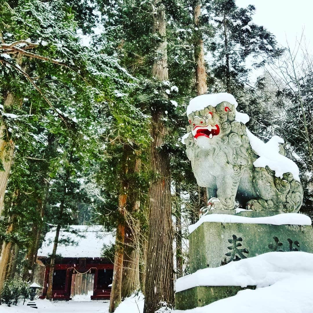 小平奈緒さんのインスタグラム写真 - (小平奈緒Instagram)「ふと思い立ち、戸隠神社へ行ってきました⛩️ 最近お散歩が趣味になりつつあり、朝の静かな時間を満喫しております🚶‍♀️✨ 平昌五輪シーズン以来の戸隠参拝🙏✨ 雪をぎゅっと踏みしめながら歩くこの感覚が堪らなく好きで、朝イチの清らかな空気を全身でチャージしてきました🔋 途中でグゥゥと木が鳴いていたり、帰り際にブウォーっと突風が吹いたり、狛犬さんが雪のモヒカンで超ロックだったり、とても神秘的でした✨ #戸隠神社 #随神門 #奥社 #長野においでよ #がんばろう長野 #OneNagano #冬の信州 #大座法師池 #Nao散歩」1月20日 13時12分 - nao.kodaira