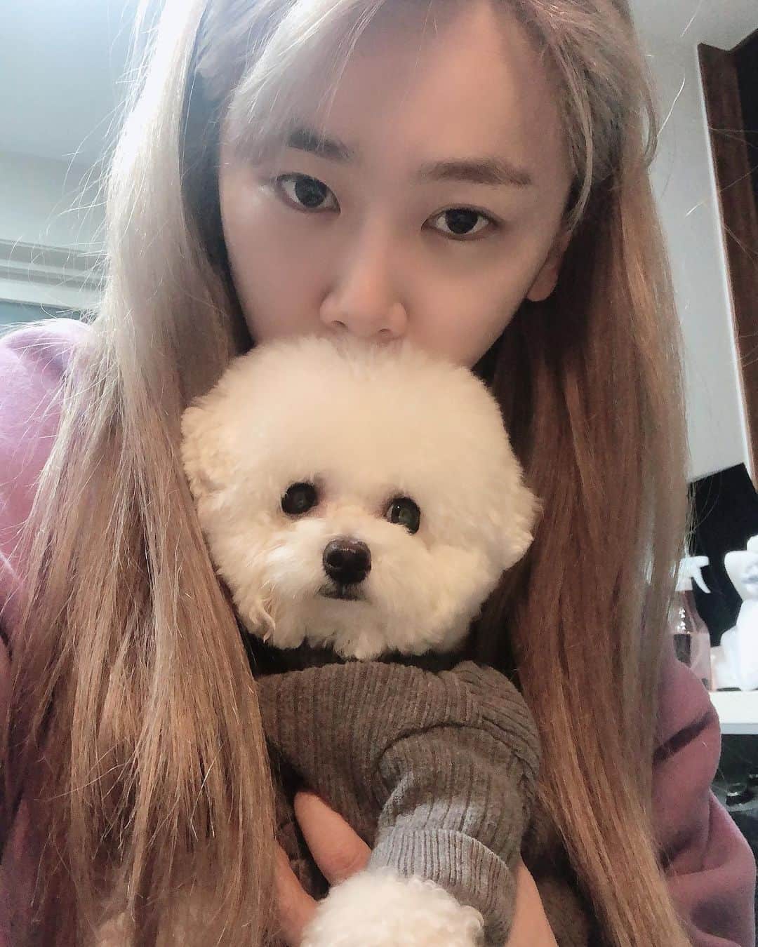 ジェアのインスタグラム：「제주 와서 내맘에 불을 지피고  간 깨깨 🐶」