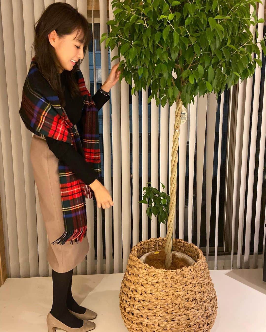 杉下理世のインスタグラム：「私の中ではもはや、田舎のお母さん的な存在の @chobii_sakurai.r が、大事に大事に育ててくれているベンジャミン🌿 大半の方が枯らしてしまう中、冬でも元気過ごしている姿に、母(さく)の愛を感じます😢💓 贈った植物が月１美容室に行くたびに見られるのも嬉しい☺️🌿 #観葉植物 #お花屋さん #flowershop #green #houseplant #ベンジャミン #chobii #ginza #銀座美容室」