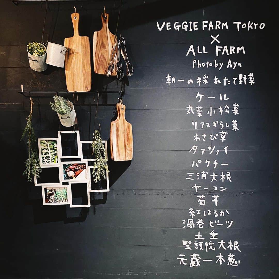 のインスタグラム：「VEGGIE FARM TOKYO×ALL FARM〜Photo by Aya〜  朝採れたての無農薬無化学肥料の野菜を食べられる @veggiefarm_tokyo で今日から私が撮影した、野菜たちの写真が展示されています🥦 壁には今お店で出ている野菜達の名前も描いています🍠  #veggiefarmtokyo  #allfarm #photobyaya #1月20日からスタート #代官山 #冬の野菜 #初めて野菜を撮影しましたが野菜がかっこよすぎて夢中になって撮影していました #宇宙 #新しいレンズが欲しくなった #えりえはケールをイメージしてエメラルドグリーンのセットアップできてくれたよ #天才 #野菜ポーズ」