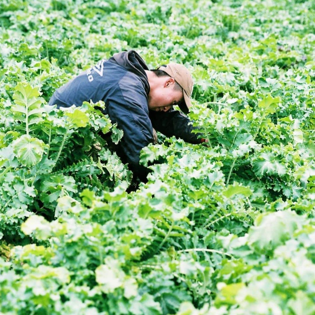 Aya（高本彩）さんのインスタグラム写真 - (Aya（高本彩）Instagram)「VEGGIE FARM TOKYO×ALL FARM〜Photo by Aya〜  朝採れたての無農薬無化学肥料の野菜を食べられる @veggiefarm_tokyo で今日から私が撮影した、野菜たちの写真が展示されています🥦 壁には今お店で出ている野菜達の名前も描いています🍠  #veggiefarmtokyo  #allfarm #photobyaya #1月20日からスタート #代官山 #冬の野菜 #初めて野菜を撮影しましたが野菜がかっこよすぎて夢中になって撮影していました #宇宙 #新しいレンズが欲しくなった #えりえはケールをイメージしてエメラルドグリーンのセットアップできてくれたよ #天才 #野菜ポーズ」1月21日 0時04分 - aya_dream04