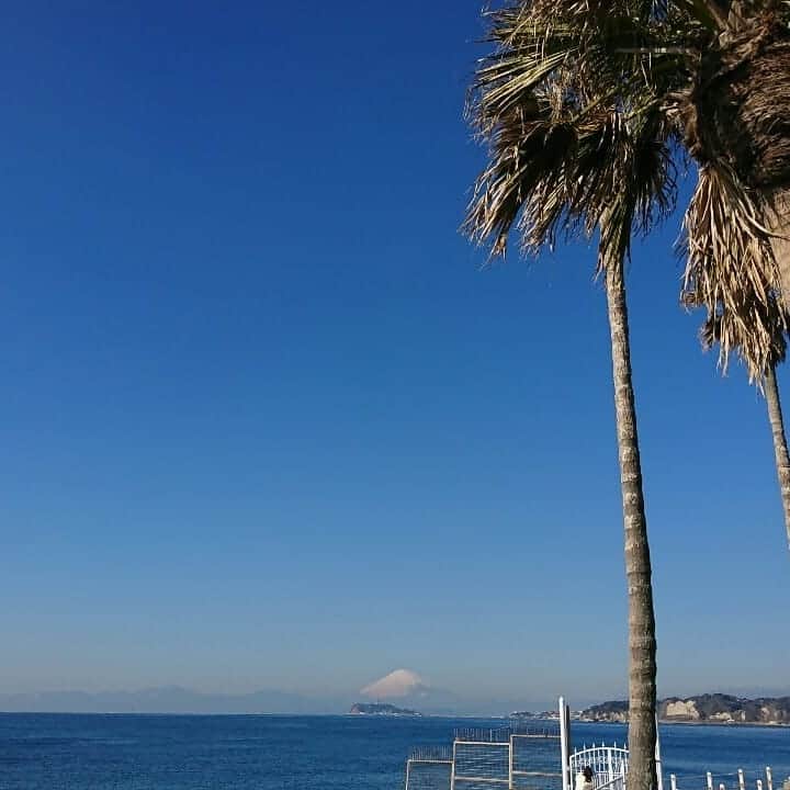 リストランテAO[公式]?イタリアン(青山店/逗子店)のグルメインスタ