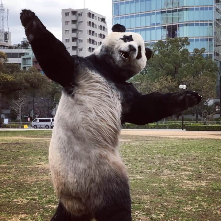 星星（セイセイ）のインスタグラム