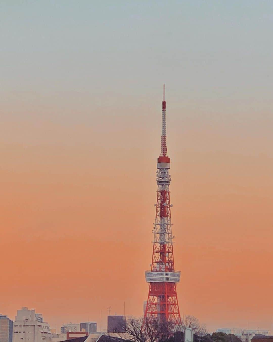 澤田友美さんのインスタグラム写真 - (澤田友美Instagram)「. Light blue and pink... . Calm sky ...🧚 . .」1月20日 17時07分 - tomomi__sawada