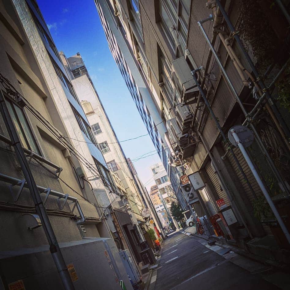 此ノ木よしるさんのインスタグラム写真 - (此ノ木よしるInstagram)「横浜の青空  #横浜 #路地裏 #関内 #みなとみらい #青空」1月20日 17時44分 - y_konogi