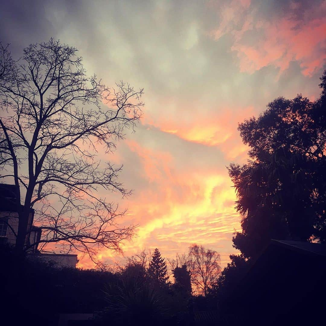 デビッド・モリシーさんのインスタグラム写真 - (デビッド・モリシーInstagram)「Oh what a beautiful moooornin’」1月20日 17時45分 - davidmorrissey