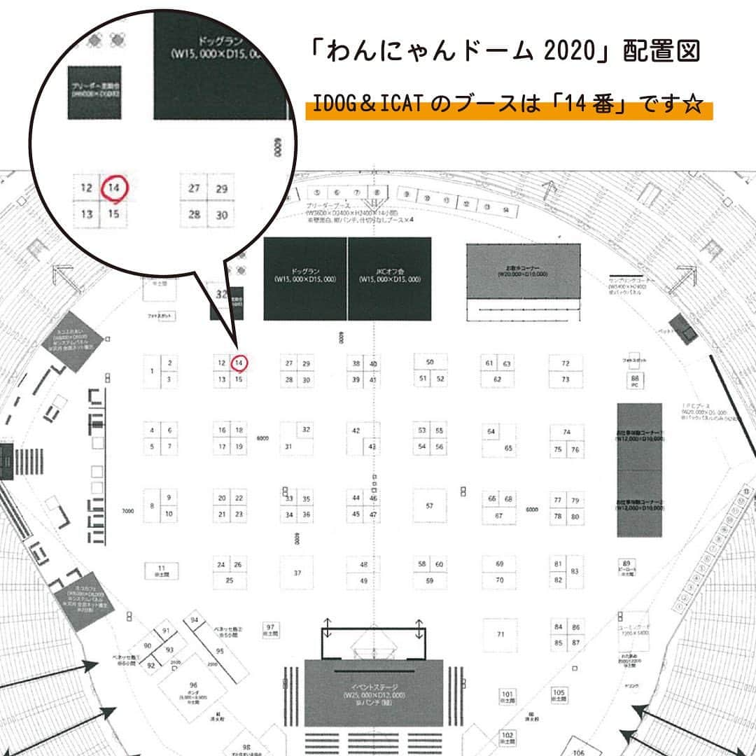 iDog&iCatさんのインスタグラム写真 - (iDog&iCatInstagram)「📢 2020/1/25(土)-2020/1/26(日)にナゴヤドームで開催される、 東海地区最大級のペットイベント「わんにゃんドーム2020」の配置図をお知らせします♪ ・ IDOG&ICATのブースは14番です✨ みなさまのご来場お待ちしております🥰 ・  #idogicat #idog #icat #犬の服idog #わんにゃんドーム #名古屋 #ナゴヤドーム #ペットイベント」1月20日 18時02分 - idogicat