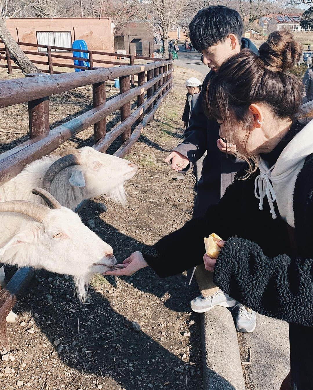 かほこ。さんのインスタグラム写真 - (かほこ。Instagram)「ㅤㅤㅤㅤㅤㅤㅤㅤㅤㅤㅤㅤㅤ ㅤㅤㅤㅤㅤㅤㅤㅤㅤㅤㅤㅤㅤ たのたのさちさち ハッピーデーだた、、、 ㅤㅤㅤㅤㅤㅤㅤㅤㅤㅤㅤㅤㅤ 牧場か動物園に住みたい、、 ㅤㅤㅤㅤㅤㅤㅤㅤㅤㅤㅤㅤㅤ テンション上がりすぎて 裏声で生きてた ㅤㅤㅤㅤㅤㅤㅤㅤㅤㅤㅤㅤㅤ #マザー牧場」1月20日 18時26分 - xxokohakxx