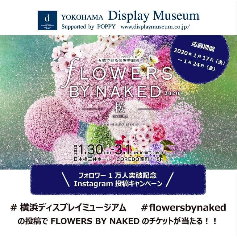 横浜ディスプレイミュージアムのインスタグラム：「【Instagramフォロワー1万人キャンペーン🌸】 いつも横浜ディスプレイミュージアムのインスタグラムをご覧いただきありがとうございます。 多くの皆様のおかげで、フォロワーが1万人を突破いたしました。 そこで、それを記念したキャンペーンを開催することになりました！ ・ ・ 「五感で巡る体験型庭園　"FLOWERS BY NAKED2020" を無料でご招待！！」 ・ ・ ＊応募期間＊ 2020年1月17日〜2020年1月24日 ・ ・ ＊応募方法＊ ①横浜ディスプレイミュージアムのアカウントをフォロー ②#横浜ディスプレイミュージアム #flowersbynaked の2つのタグをつけて、 ③ご自身のインスタグラムに投稿してください！ その際、FLOWERS BY NAKED2020”のページをご覧いただき、イベントに期待することや楽しみな点も載せて投稿してください✨ イベントHPはこちら→https://flowers.naked.works/2020nihonbashi/  期間中にご投稿いただいた方の中から抽選で50名様に 〜五感で巡る体験型庭園〜　"FLOWERS BY NAKED2020" の無料鑑賞券をプレゼントいたします🌼 (当選された方にはDMにてご連絡させていただきます。必ずこちらのアカウントをフォローの上ご応募ください)  皆さまのご応募、お待ちしております！！ ・  #横浜ディスプレイミュージアム #flowersbynaked ・ ・ #フラワーズバイネイキッド  #株式会社ポピー #横浜 #ディスプレイ#アーティフィシャルフラワー #フラワーアレンジメント #フラワーデザイン #装飾#デコレーション #花のある暮らし #花好きな人と繋がりたい #yokohama #flowerarrangement #artficialflower #flowerstagram」