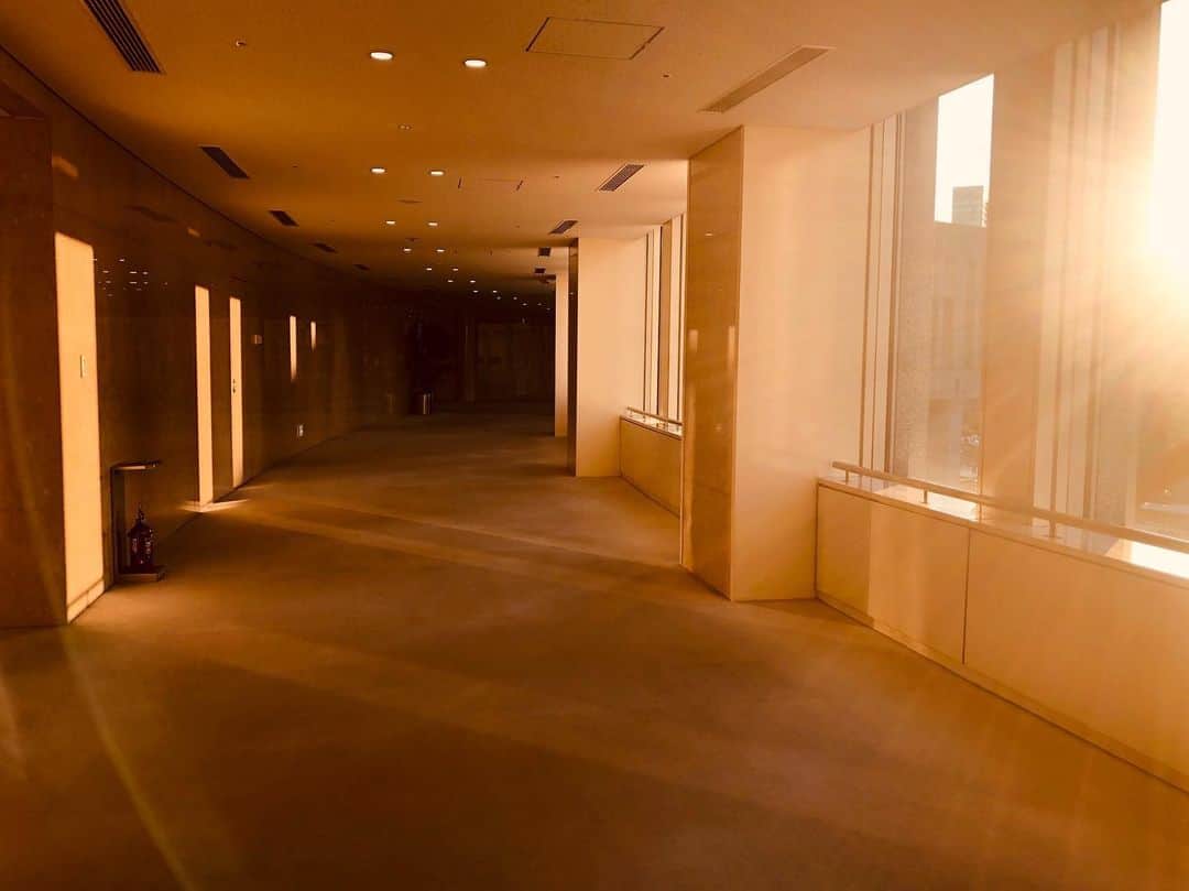 龍円愛梨さんのインスタグラム写真 - (龍円愛梨Instagram)「都議会の廊下、光が綺麗なんだよね。」1月20日 18時32分 - airi_ryuen