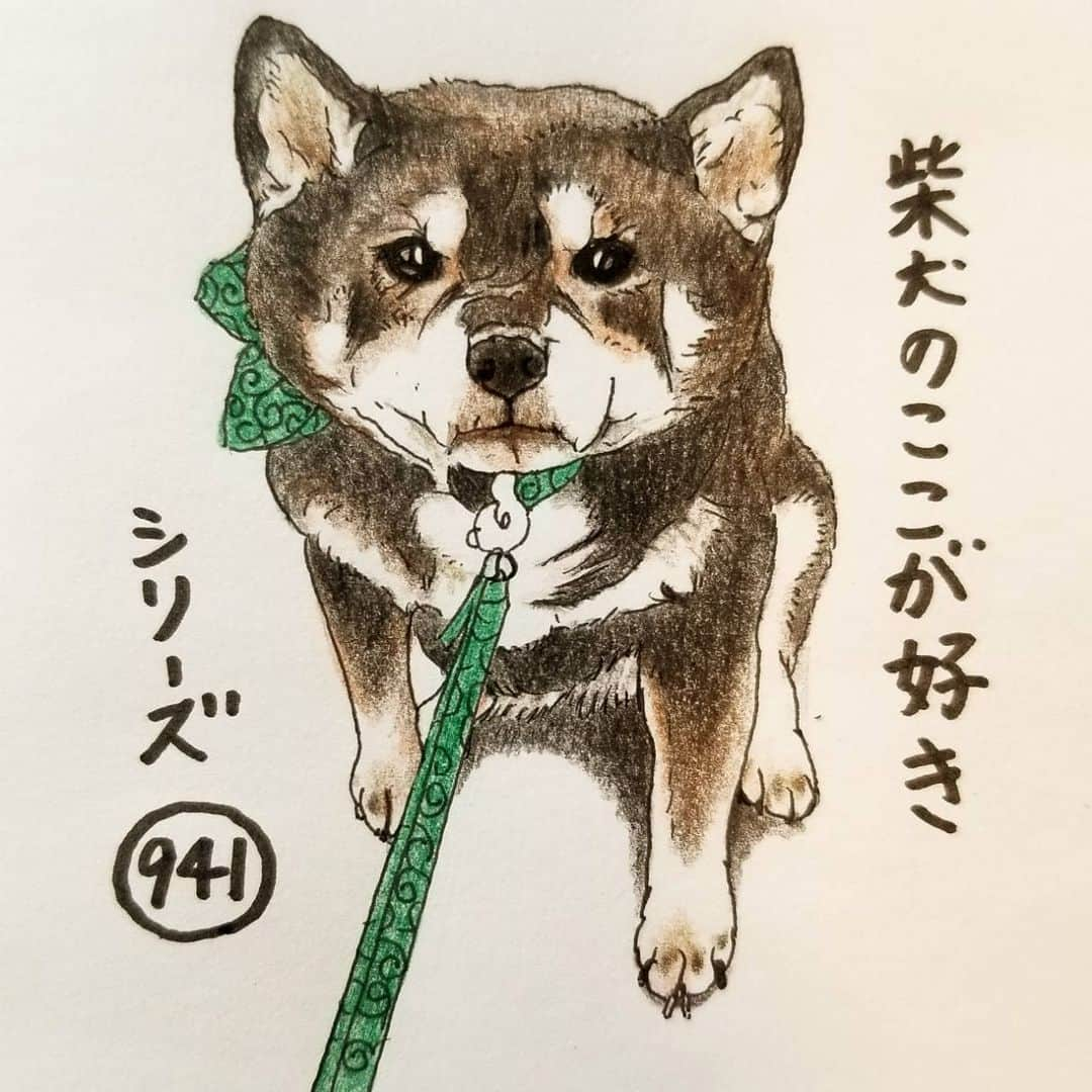 ハナとソラさんのインスタグラム写真 - (ハナとソラInstagram)「#ここ柴部 『柴犬のここが好きシリーズ941』 イヤイヤさんするとき まっすぐ見つめてくるとこ。  じーっ 「そっちはいやなの」  その目に負けちゃう。 * No.941 “I don't want to go there.” * モデルは @fuyu.and.azuki さんとこの小豆ちゃんです💕 #柴犬のここが好き #favoritepartsofshibainu #illustration #dogart #drowing #shibastagram #shibainu #kuroshiba #colorpencil #柴犬 #イラスト #しばすたぐらむ #いらすとぐらむ #色鉛筆 #黒柴 #イヤイヤさん #柴公園イラスト」1月20日 19時06分 - nsdikm_hanasora