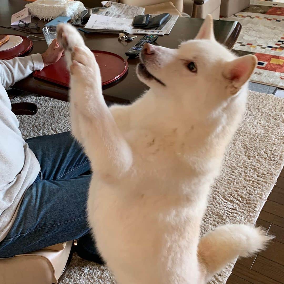 Jacknomamaのインスタグラム