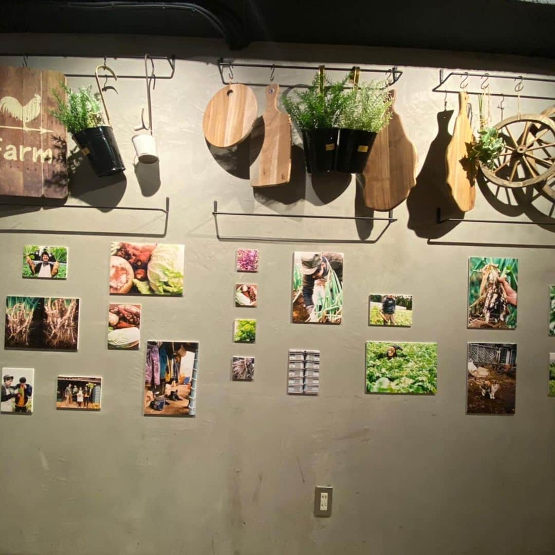 松下建太さんのインスタグラム写真 - (松下建太Instagram)「こんなうまい野菜食べたのはじめて！！！！ あやの写真を見ながらご飯！！ 締めのすき焼きうまかったなー！ 安定のはるき、、、笑 青木英李さんにばったり遭遇！！ #N‘sGarden&Loungedaikanyama #あや写真展 #安定のはるき #代官山 #代表すぐるくん」1月20日 19時56分 - l.matsuken