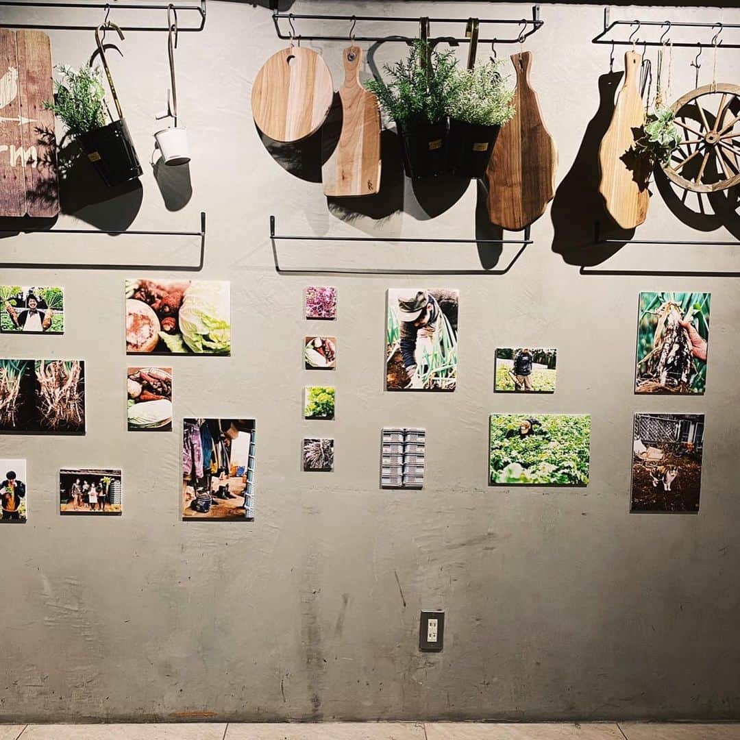 松下建太さんのインスタグラム写真 - (松下建太Instagram)「こんなうまい野菜食べたのはじめて！！！！ あやの写真を見ながらご飯！！ 締めのすき焼きうまかったなー！ 安定のはるき、、、笑 青木英李さんにばったり遭遇！！ #N‘sGarden&Loungedaikanyama #あや写真展 #安定のはるき #代官山 #代表すぐるくん」1月20日 19時56分 - l.matsuken