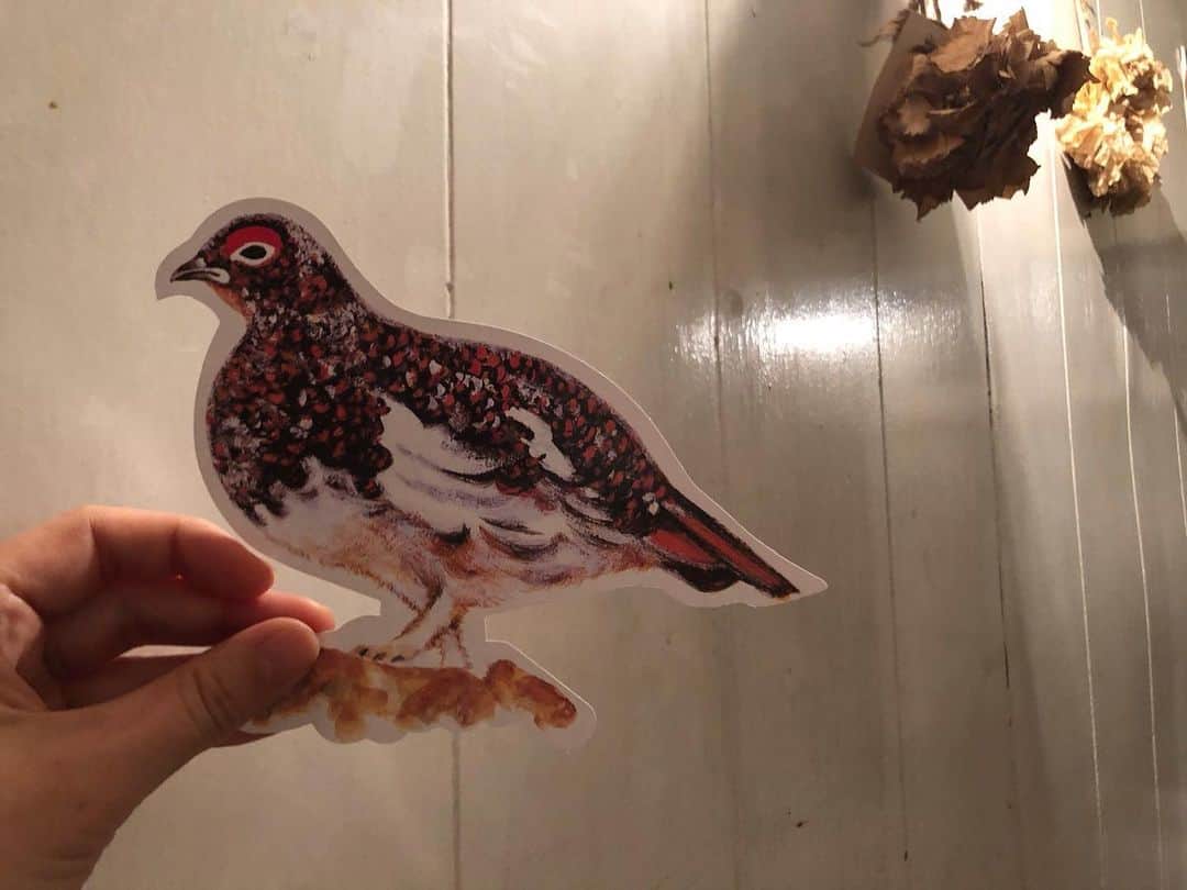 土井コマキのグルメインスタ