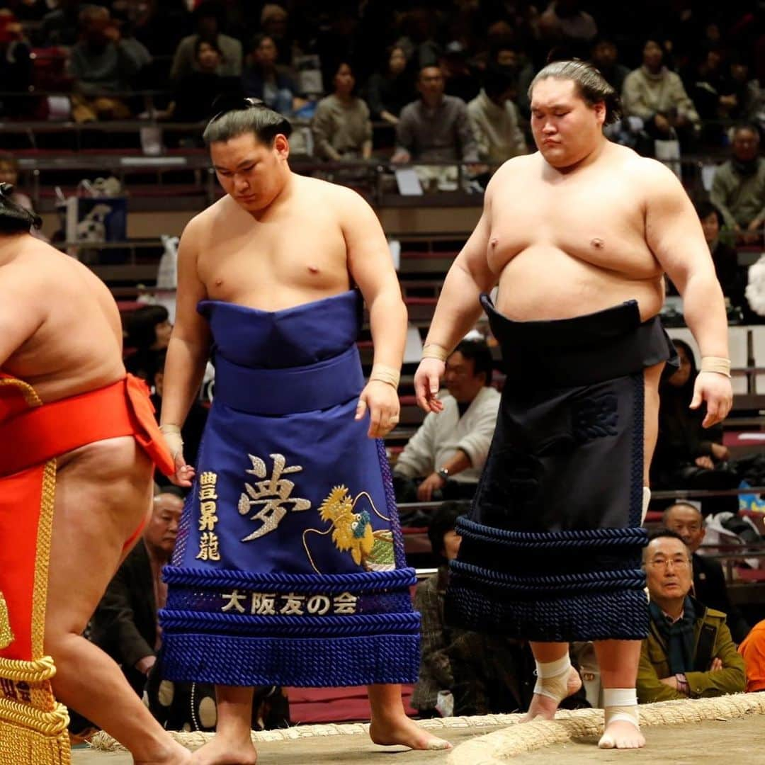 日本相撲協会さんのインスタグラム写真 - (日本相撲協会Instagram)「大相撲一月場所、９日目。 優勝の行方は？ 各段、成績優秀力士。  幕内の成績優秀力士 8勝1敗 正代 徳勝龍  7勝2敗 貴景勝 豊山 輝  十両の成績優秀力士 全勝 照ノ富士  7勝2敗 大翔鵬 大奄美  @sumokyokai ﻿ #sumo﻿  #相撲 ﻿ #力士﻿ #お相撲さん﻿ #大相撲 ﻿ #初場所 ﻿ #一月場所 ﻿#幕内土俵入り #輝 #照ノ富士 #遠藤 #正代 #徳勝龍」1月20日 20時42分 - sumokyokai