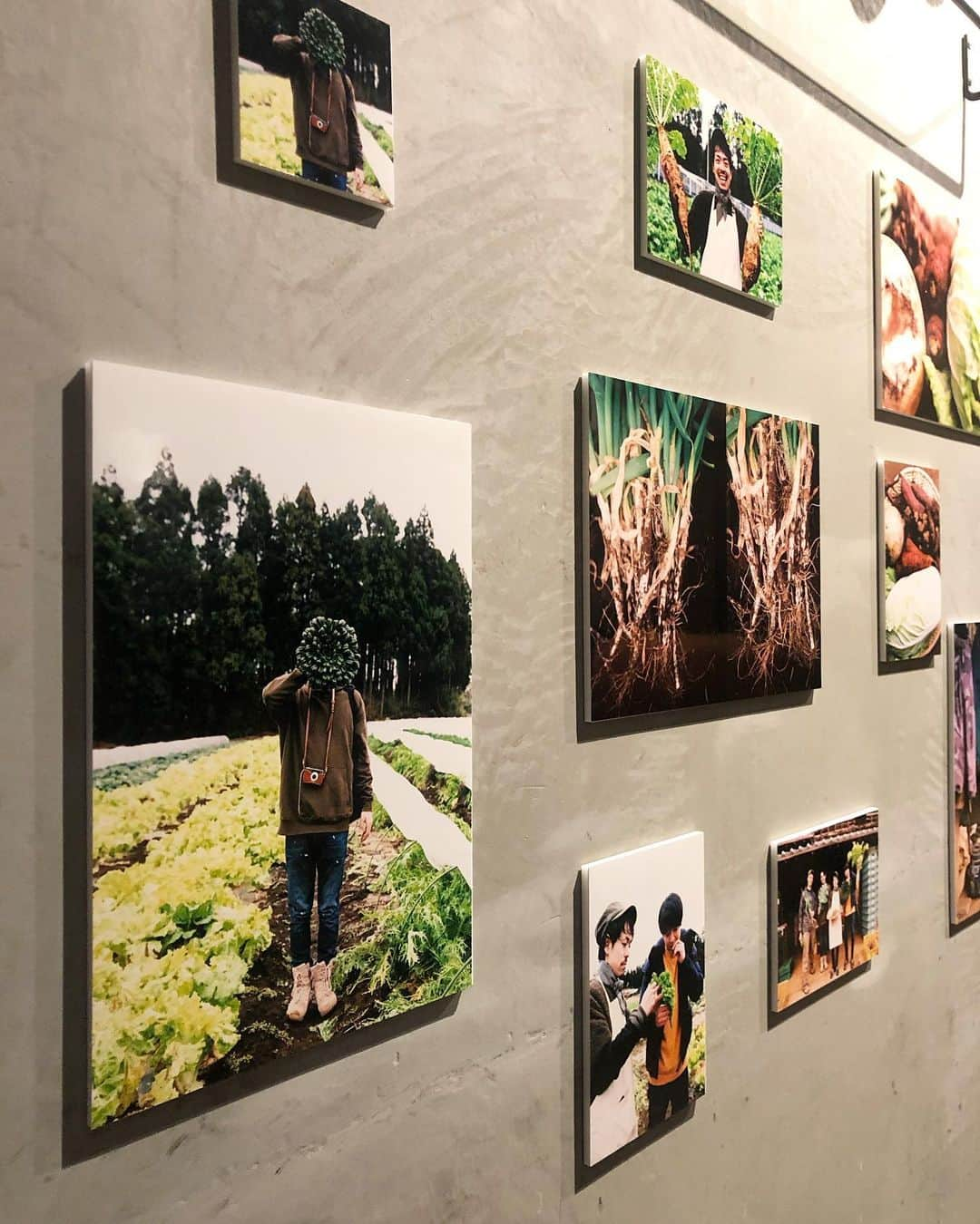 てきら へるかさんのインスタグラム写真 - (てきら へるかInstagram)「ayaちゃんのお写真が展示されているALL FARMで、美味しいコースを頂いてきたよ✨ . 嬉しい野菜祭り‼︎🥬写真はケールのすき焼き🐮✨ 大好きないつメンと新年会的な感じでした💚💚 . #veggiefarmtokyo #nslounge #photobyaya #代官山 #me #dinner」1月20日 22時05分 - saorijr