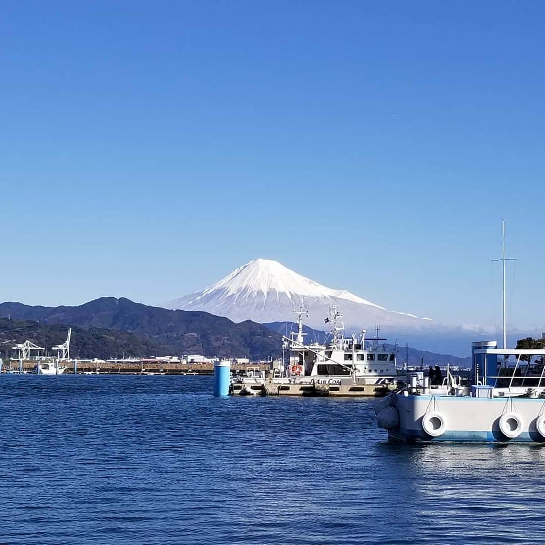 大鷲透のインスタグラム：「清水マリンビルから見える富士山🗻 海苔がぴったり入るバッグ売ってます💃」