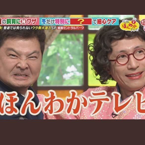 月亭方正さんのインスタグラム写真 - (月亭方正Instagram)「全然ほんわかした顔じゃない」1月21日 9時51分 - houhouhouhou21