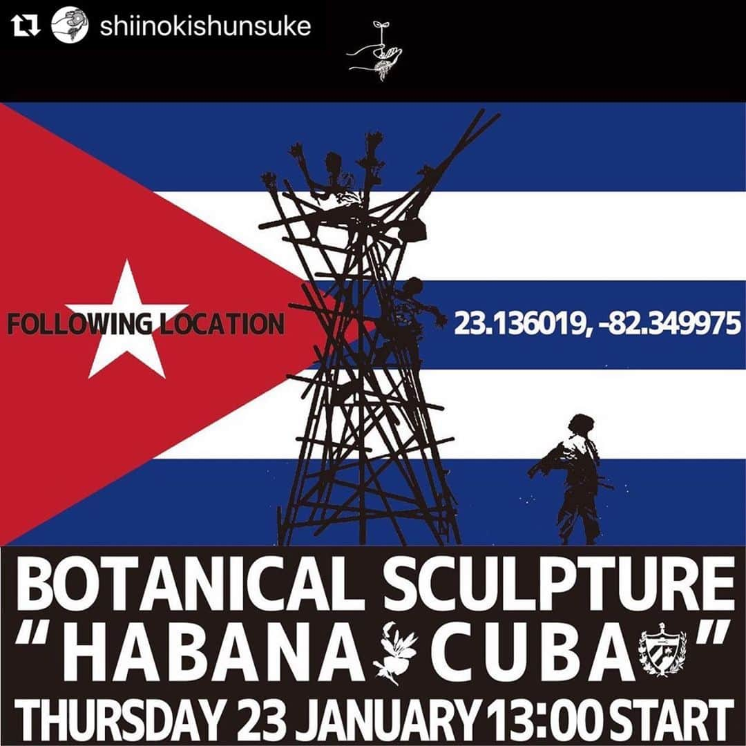 東信さんのインスタグラム写真 - (東信Instagram)「#Repost @shiinokishunsuke with @make_repost ・・・ Botanical Sculpture in Cuba  Date: January 23 Thursday, 2020 Location: Plaza Vieja 23.136019,-82.349975 *Please insert this numbers to your Google map.  @azumamakoto @amkk_project @shiinokishunsuke  #azumamakoto #makotoazuma #shiinokishunsuke #amkk #amkkproject #flowers #flowerart #botanicalsculpture #東信 #東信花樹研究所 #cuba #HABANA #PlazaVieja」1月21日 8時41分 - azumamakoto