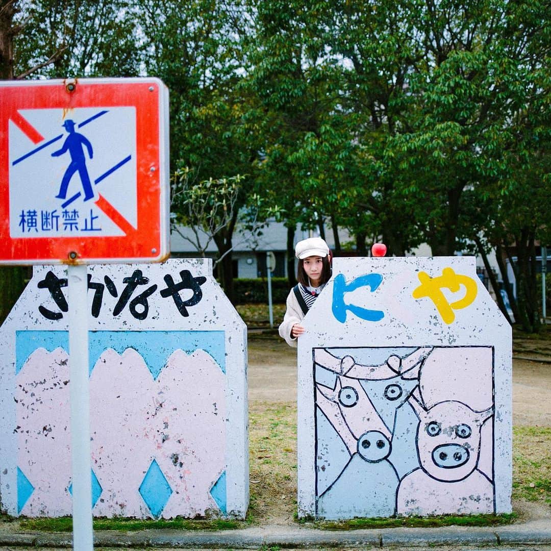 hiderin777のインスタグラム：「Morning 🐟🐮 . . . さかな派❓ にく派❓ . . . #りんごがーる　🍎」