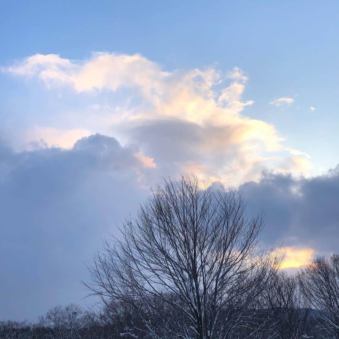 新山千春さんのインスタグラム写真 - (新山千春Instagram)「#青森 ロケ 📺 お宿の 和紙と木で作られた artなLightがすごく好きです。  柔らかくて優しい あたたかい。。 オレンジ色。。 #新山千春  #雪景色」1月21日 8時45分 - chiharuuu_0114