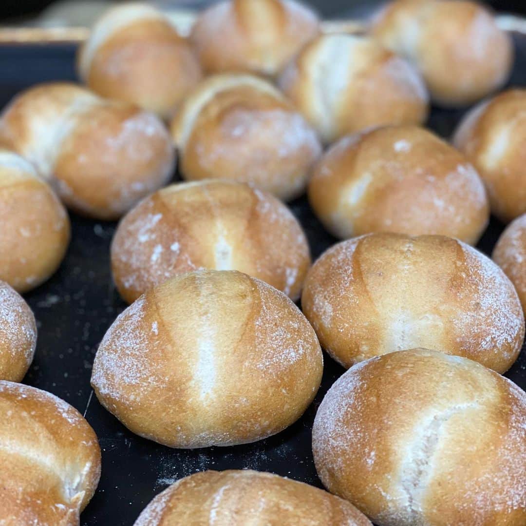 魔女菅原のグルメインスタ